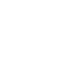 GE